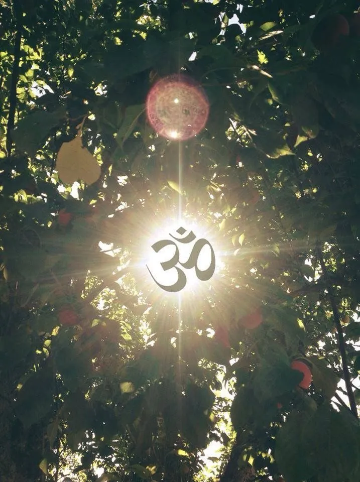 Divya Arogya Healing Centre Mantra Therapy Image